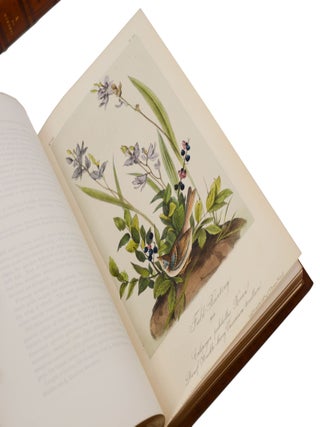 The Birds of America, from Drawings Made in the United States and Their Territories
