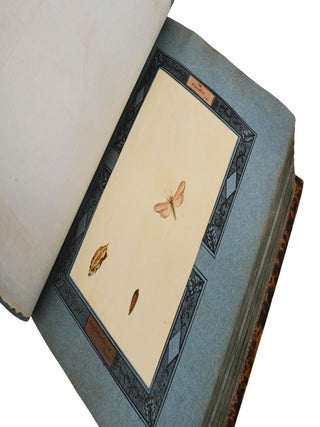 Insecta Lepidoptera Europae secundum Classificationem Doctoris J.A. Boisduval (Moth Specimens)
