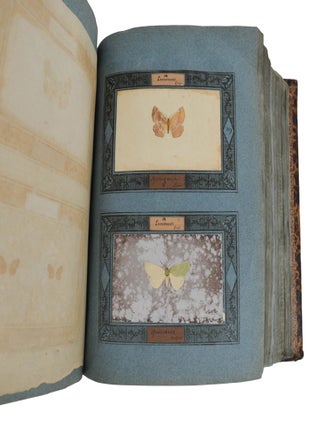 Insecta Lepidoptera Europae secundum Classificationem Doctoris J.A. Boisduval (Moth Specimens)