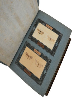 Insecta Lepidoptera Europae secundum Classificationem Doctoris J.A. Boisduval (Moth Specimens)