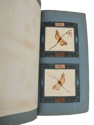 Insecta Lepidoptera Europae secundum Classificationem Doctoris J.A. Boisduval (Moth Specimens)