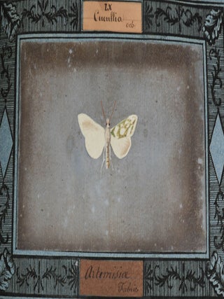 Insecta Lepidoptera Europae secundum Classificationem Doctoris J.A. Boisduval (Moth Specimens)
