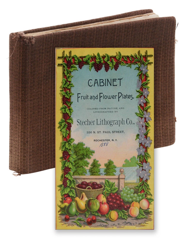 Item #140947465 [Nurseryman's Sample Book] Cabinet Fruit and Flower Plates, Colored from Nature, and Lithographed by Stecher Lithograph Co. Stecher Lithograph Co.