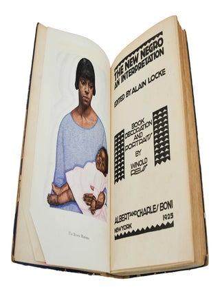 The New Negro: An Interpretation