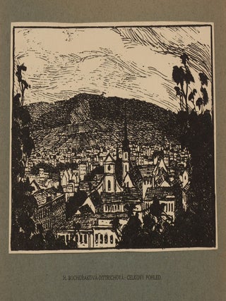 Brno. 12 Litografii.