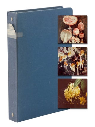 Item #140947758 Photo Album with 232 Photographs of Mushrooms In Their Native Habitat