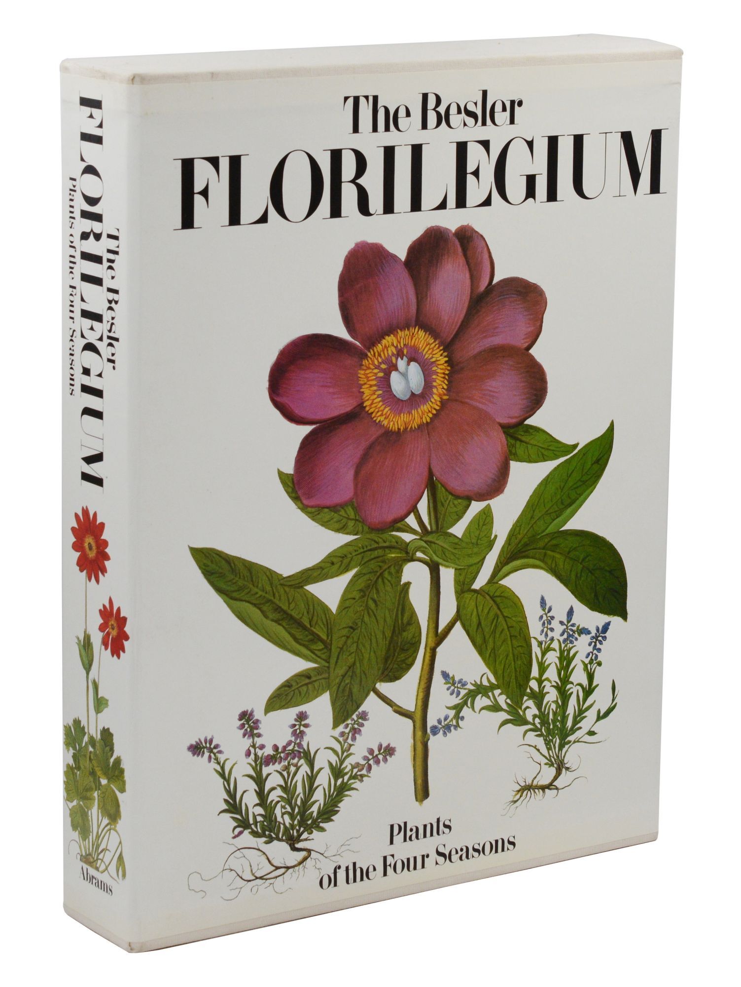 The Besler Florilegium: Plants of the Four Seasons | Basilius