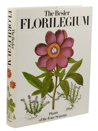 The Besler Florilegium: Plants of the Four Seasons