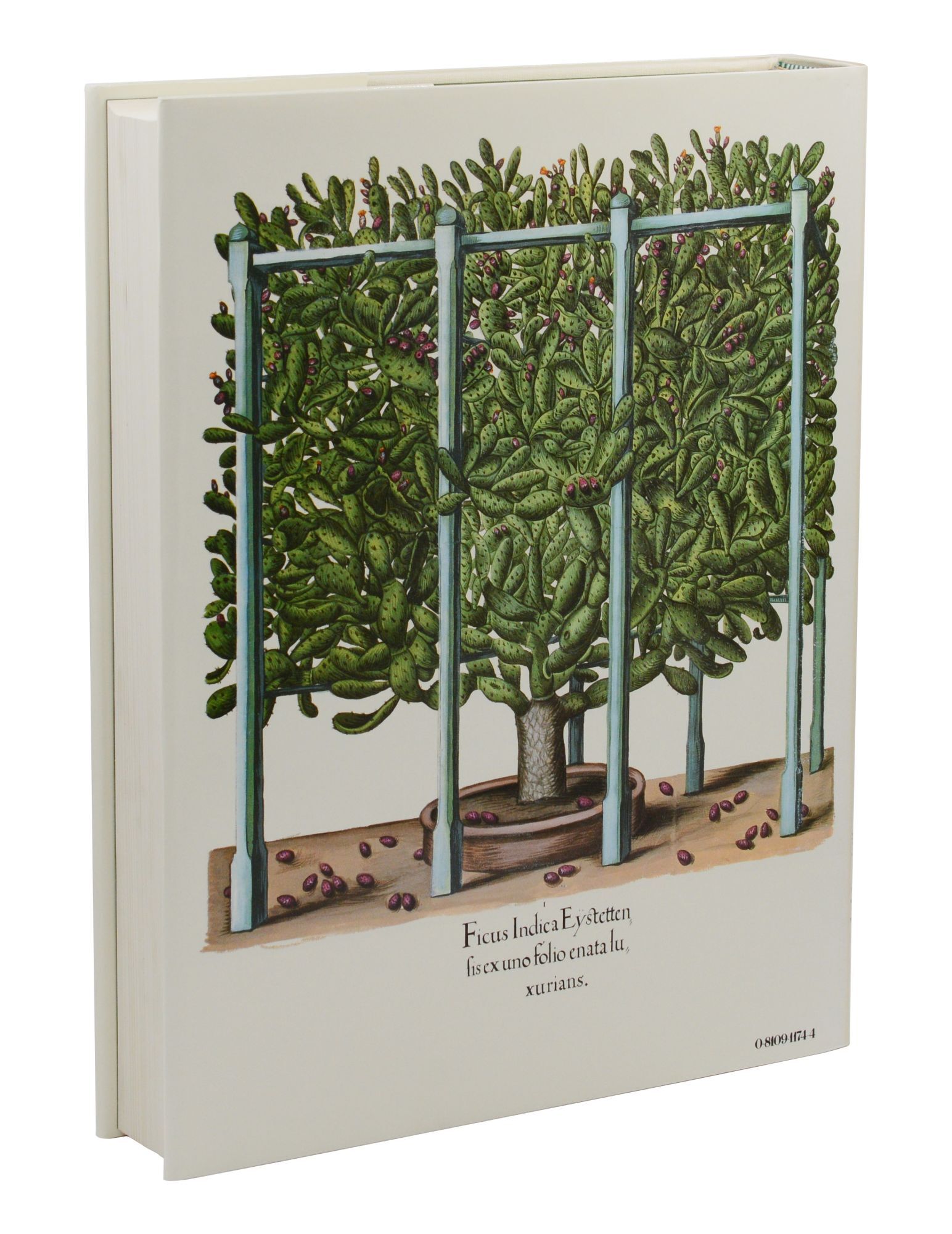 The Besler Florilegium: Plants of the Four Seasons | Basilius
