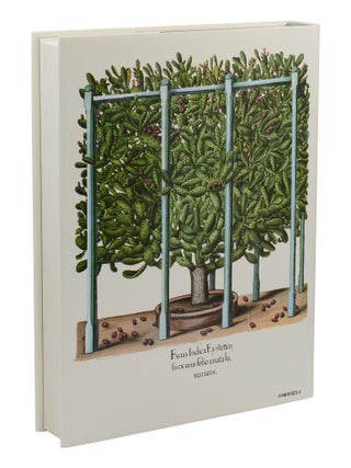 The Besler Florilegium: Plants of the Four Seasons