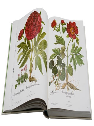 The Besler Florilegium: Plants of the Four Seasons