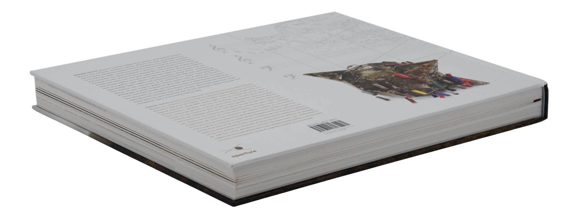 Border Cantos | Richard Misrach, Guillermo Galindo | First edition