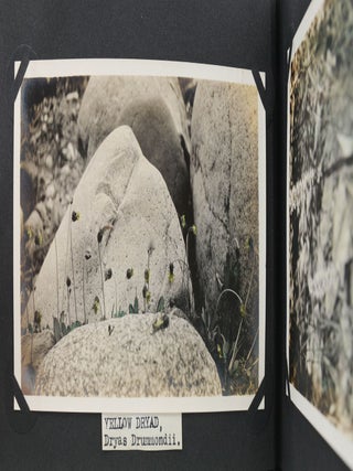 Botanical Photograph Album