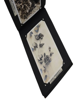 Botanical Photograph Album