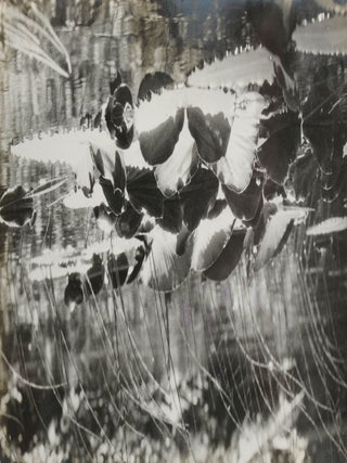 Botanical Photograph Album