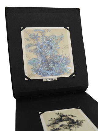 Botanical Photograph Album