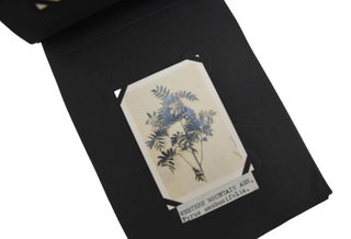 Botanical Photograph Album