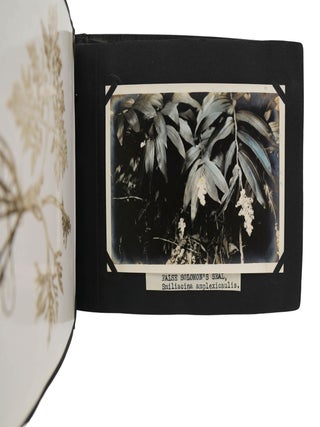 Botanical Photograph Album