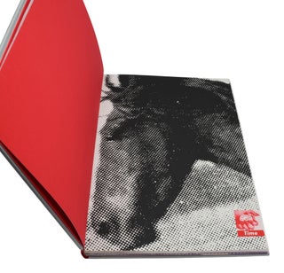 My Pretty Pony