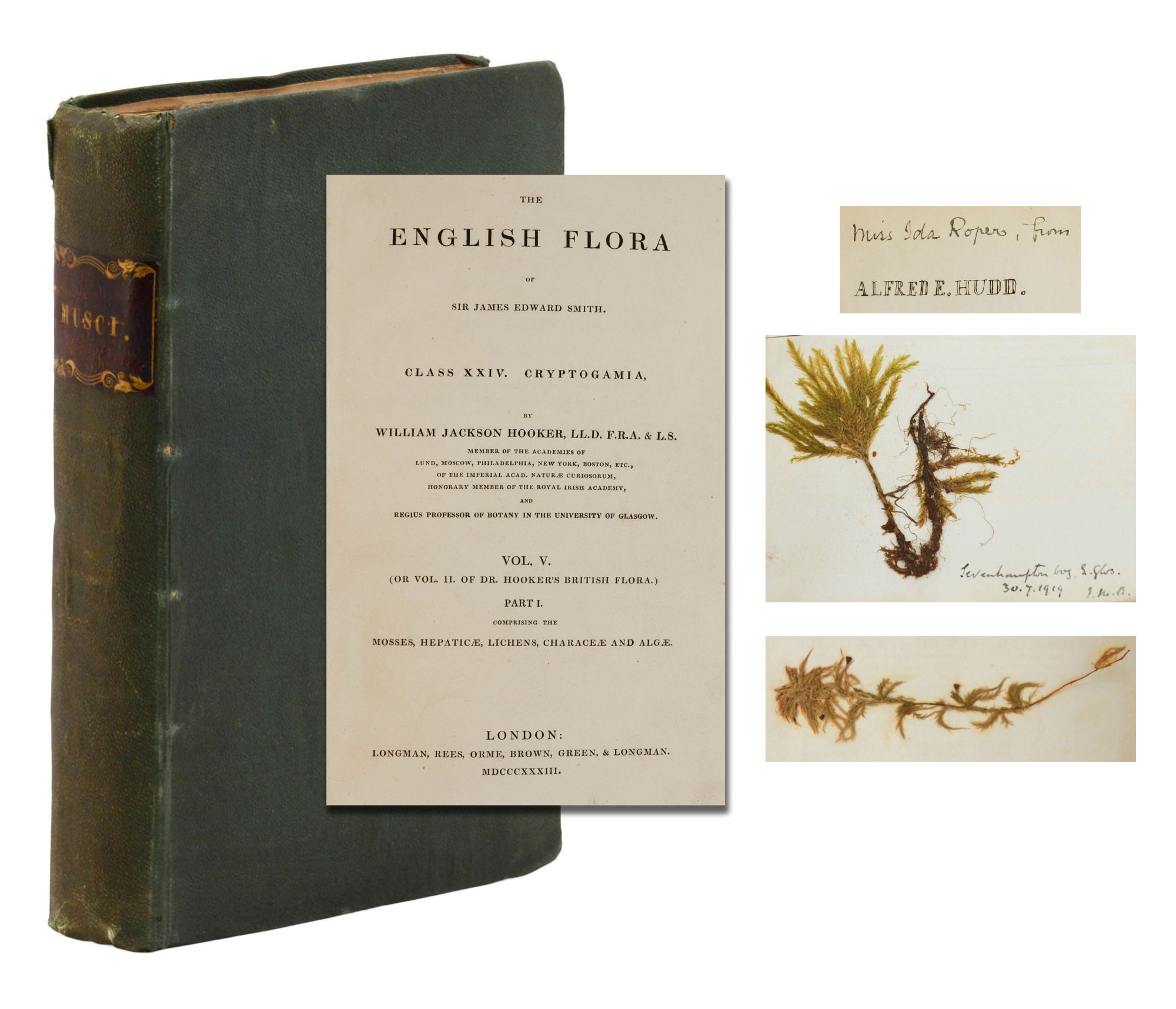 The English Flora of Sir James Edward Smith. Class XXIV: Cryptogamia ...