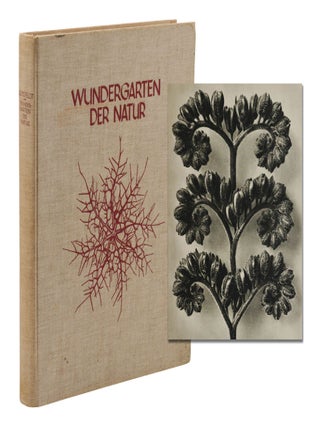 Item #140948673 Wundergarten der Natur. Neue Bilddokumente schöner Pflanzenformen. Karl Blossfeldt