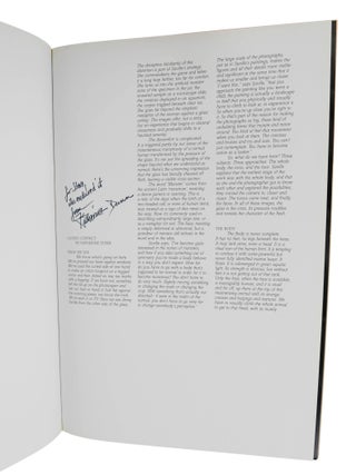 Jenny Saville and Glen Luchford: Closed Contact, Gagosian Gallery, January 12-February 9 2002