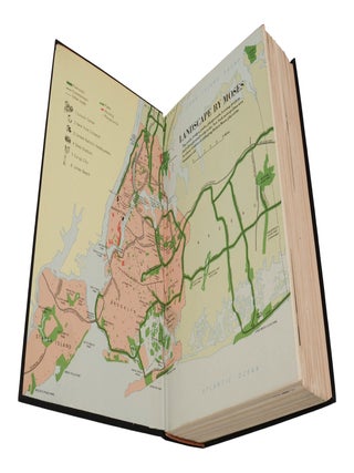 The Power Broker: Robert Moses and the Fall of New York
