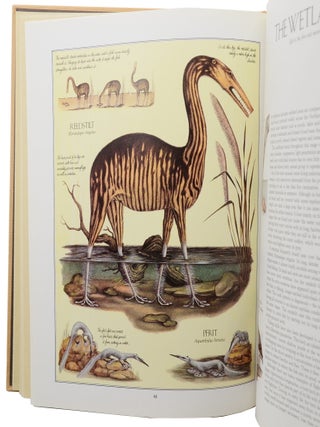 After Man: A Zoology of the Future