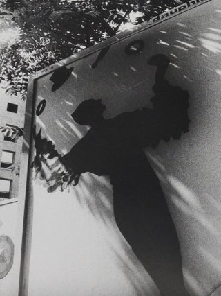 Visions of Japan