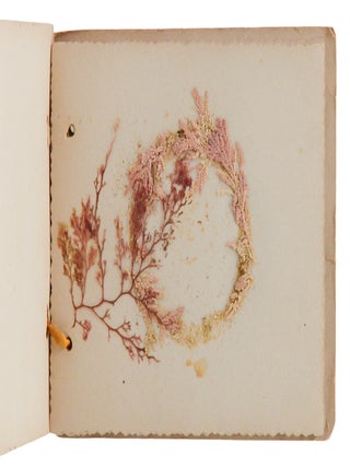 Sea Mosses From California (Herbarium)