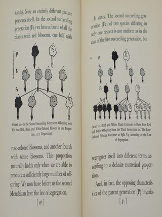 The Nazi Primer: Official Handbook for Schooling the Hitler Youth