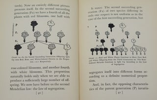The Nazi Primer: Official Handbook for Schooling the Hitler Youth