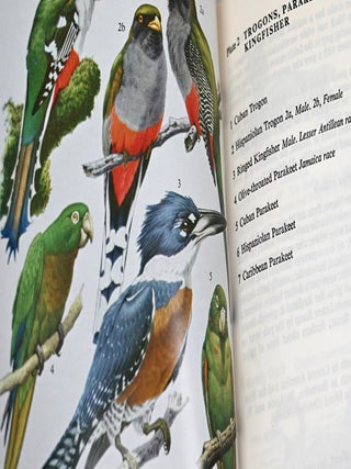 Birds of the West Indies