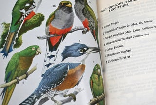 Birds of the West Indies