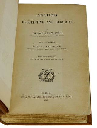 [Gray's Anatomy] Anatomy, Descriptive and Surgical
