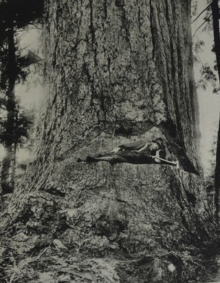 Art Work of Western Washington